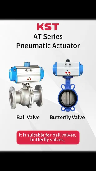 Heavy Duty Pneumatic Actuator for Large Diameter Industrial Valves